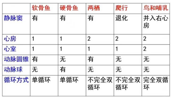 image-20250620120509189